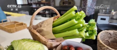 化食物供给系统愈
