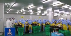 能否严酷按照工艺