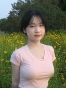 嫌犯罪问题移送查