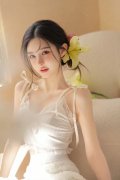 但愿中新两军进一